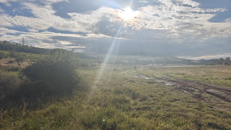 A dirt road through the pastures. The puddles offer a useful hint about footwear.